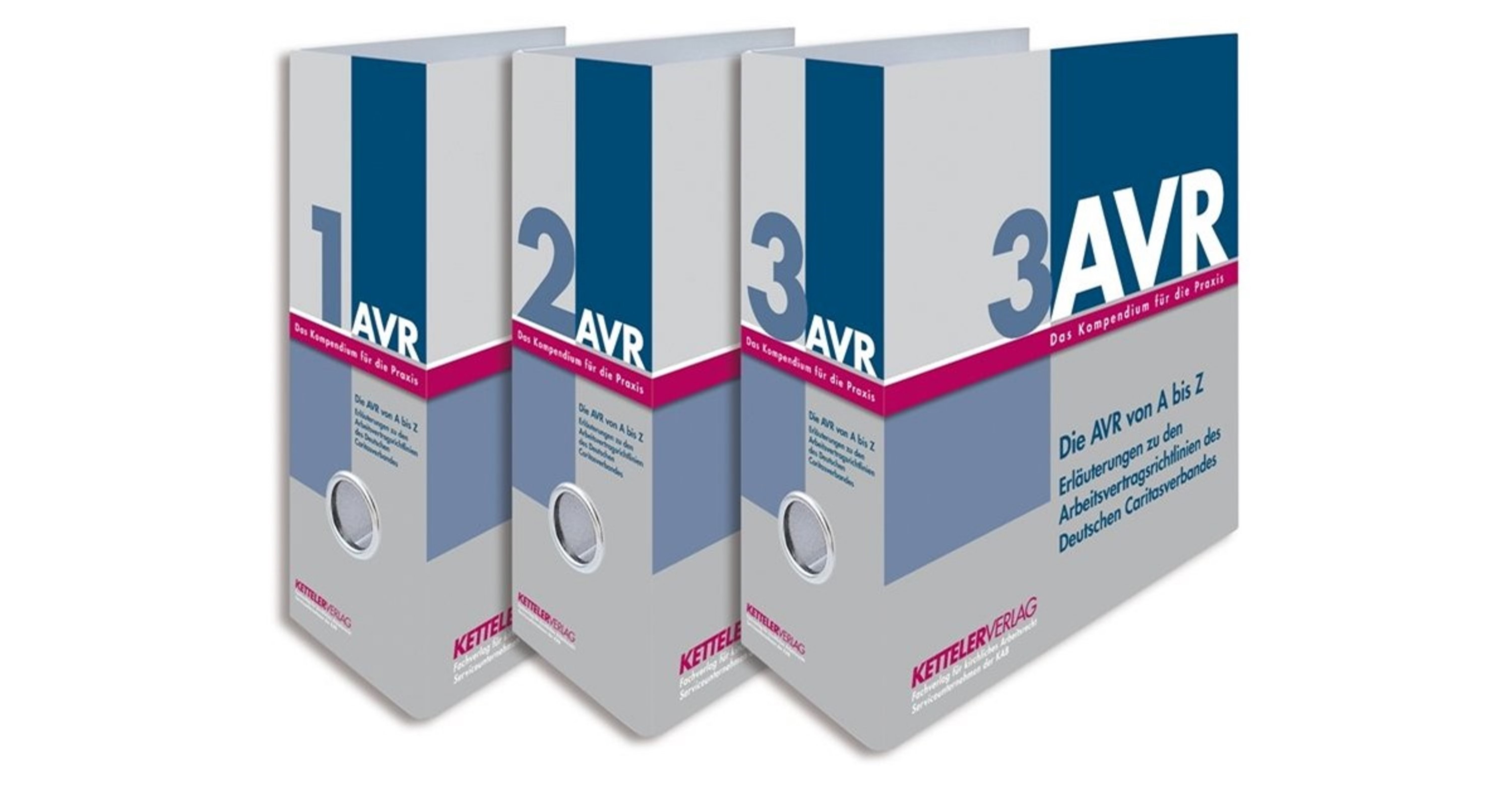Die AVR von A bis Z - Zusätzliche digitale Lizenzen
