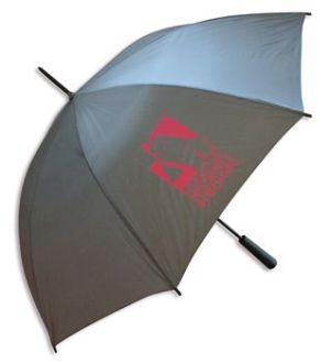 Regenschirm grau mit KAB Logo